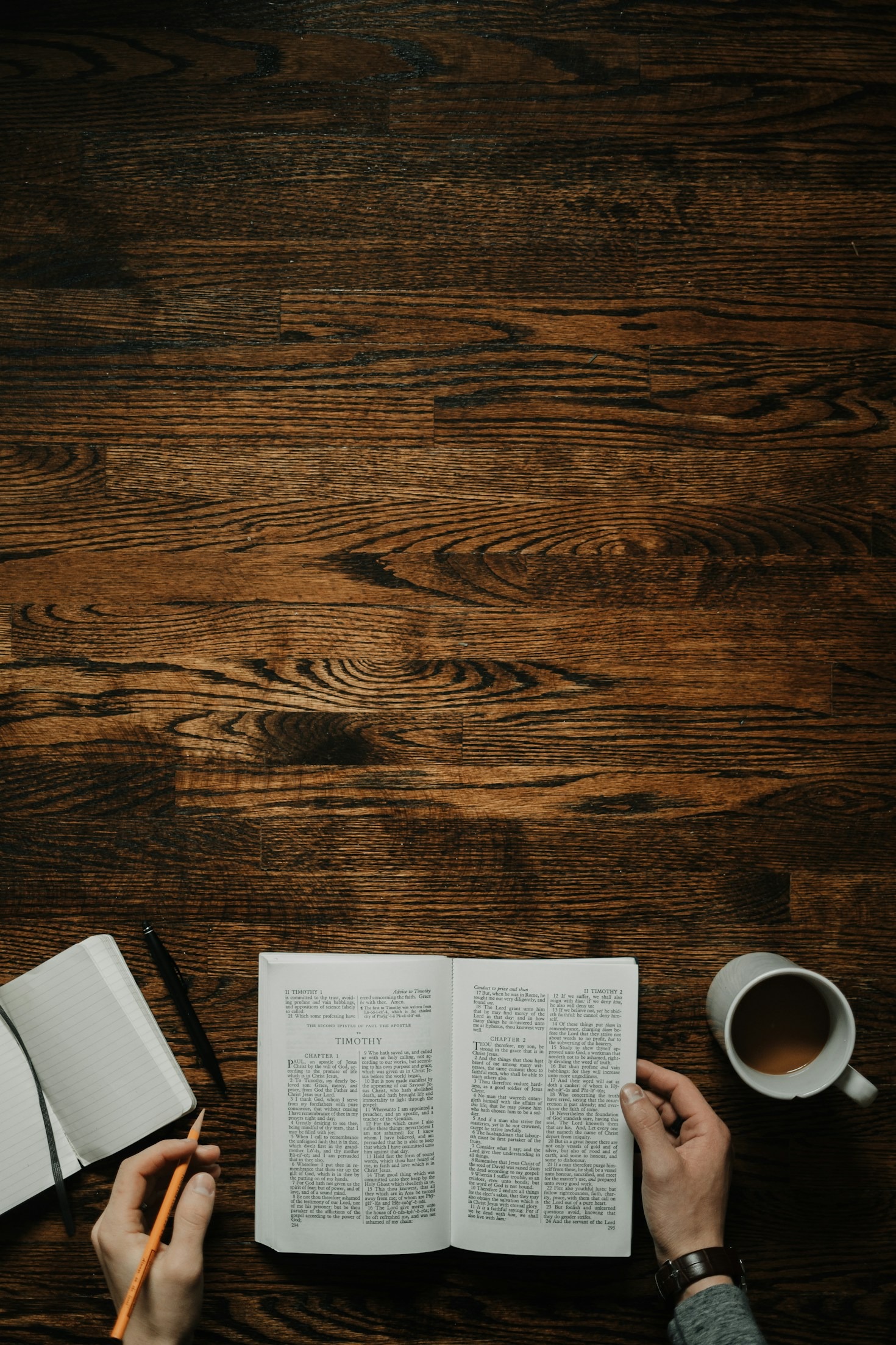 Interviews with Leading Thenosphreny Practitioners